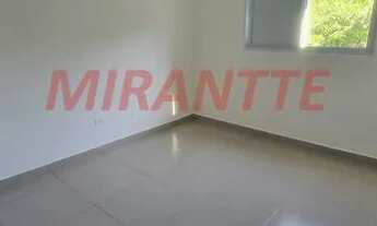 Imagem 3: Sobrado de 250m² com 5 quartos em Lauzane Paulista