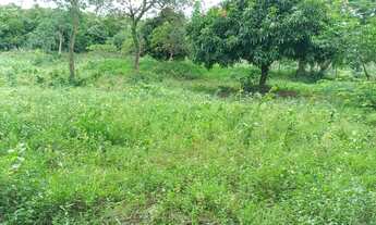 Imagem 4: Terrenos de 20.000 m² com Rio no fundo