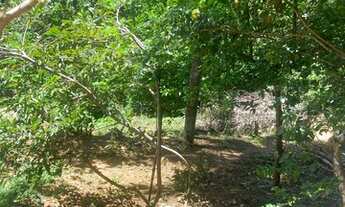 Imagem 4: Casa Cassange área total 600m