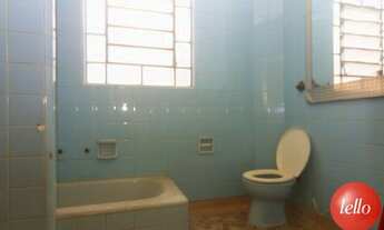 Imagem 4: São Paulo - Casa Comercial - Bom Retiro