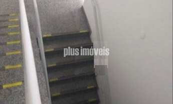 Imagem 2: PINHEIROS! OPORTUNIDADE!