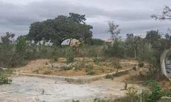 Imagem 6: Vendo chácara 4000m2 Valor 40.000 mais prestações