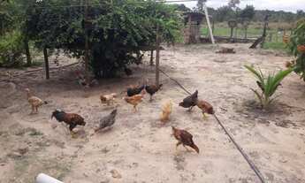 Imagem 3: Vendo sitio em Castanhal