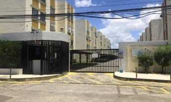 Imagem: JARDIM DAS HORTENCIAS M.C