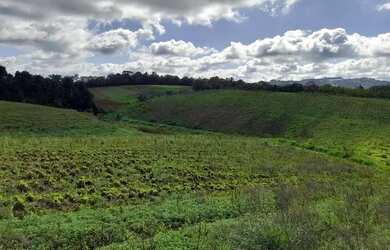 Imagem 7: Terreno dos sonhos em Cotia