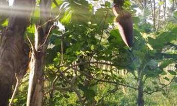 Imagem 3: Casa Vende ou troca preço negociável