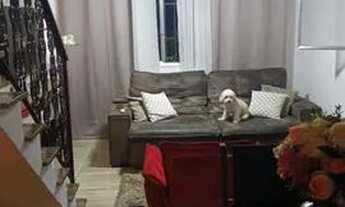 Imagem 4: Casa 3 quartos com suíte Nilópolis