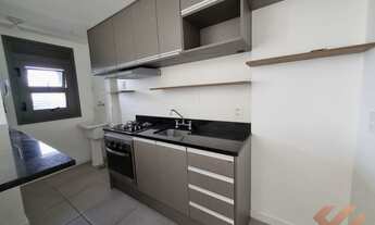 Imagem 5: PELOTAS - Padrão - São Gonçalo