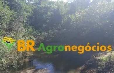 Imagem 5: Oportunidade: Fazenda de 38 Alqueires - Monte Santo - TO