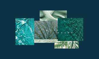 Imagem 4: Apartamento para venda tem 43 metros quadrados com 1 quarto em Praia dos Carneiros - Taman