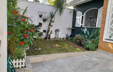 Imagem 2: São Paulo - Casa Padrão - Saúde