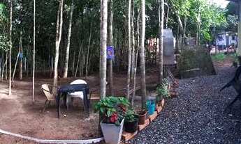 Imagem 3: Chacara vendo urgente aceito troca