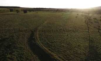 Imagem 4: Fazenda com 100 alqueires em Itatinga - SP (Nogueira Imóveis Rurais
