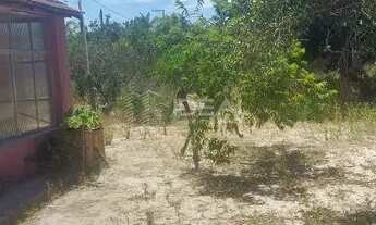 Imagem 5: Chácara com árvores frutíferas e casa aconchegante - 1.260m²