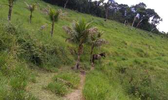 Imagem: Excelente fazenda 160 alqueires