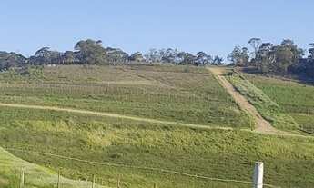 Imagem 4: Lotes de 600m² Terreno / lote com venda por R$45.000