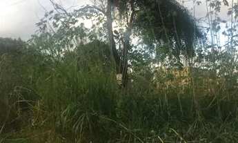 Imagem 4: Terreno de 360 m2, no bairro Manilha em Itaboraí