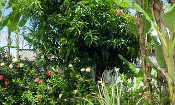 Imagem 6: Fazenda/Sítio/Chácara para venda com 2000 metros quadrados em Parada Angélica - Duque de C