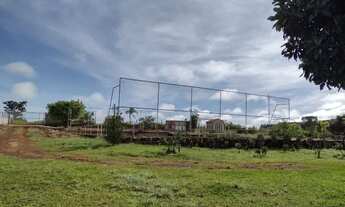 Imagem 4: Sítio escriturado 8 hectares a 70 km de Brasília 5 km de estrada de chão