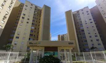 Imagem 2: Canoas - Padrão - MARECHAL RONDON