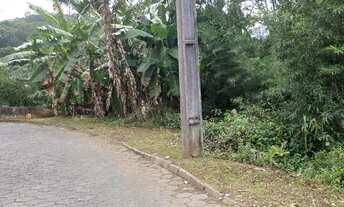 Imagem 3: Vendo Excelente Terreno No Fidélis