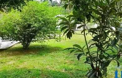 Imagem 6: CASA TÉRREA - ALVARENGA - SP