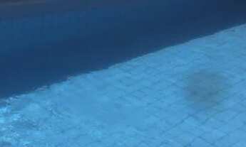 Imagem: Apartamento para aluguel possui 60 metros