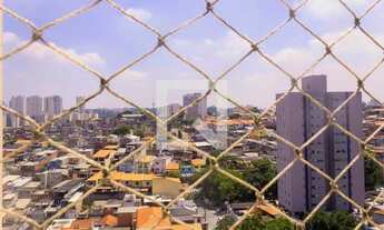 Imagem 5: Apartamento para Aluguel - Jardim Marajoara , 3 Quartos, 64 m2