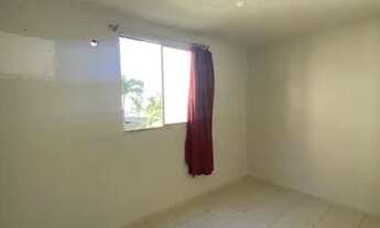 Imagem 2: Paradiso Anturio