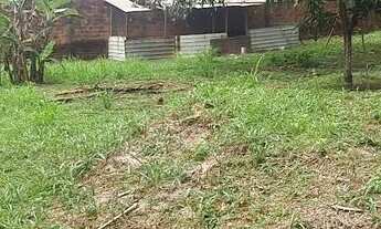 Imagem 4: Vendo terreno na br 135 medindo 2500m2 dentro de São Luís