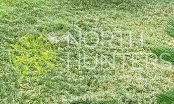 Imagem 4: 3 Casas à venda no bairro Petrópolis, Joinville, SC