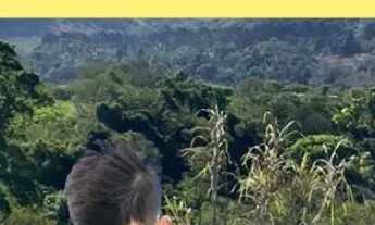 Imagem 5: Terreno 500m² em Ibiúna SP perto da represa e natureza