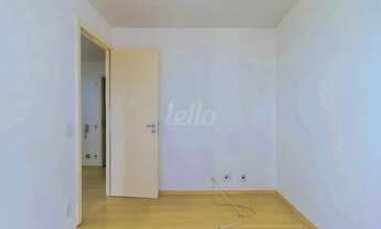 Imagem 7: Comercial à venda no(a) Chácara Santo Antônio (ZS