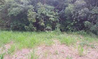 Imagem 7: Terreno total de 20x150m, em Nova Santa Rita