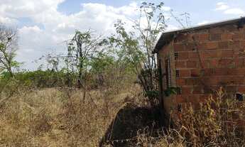 Imagem 6: Vende-se Lote 7,5 Hectares - Irrigado! No Projeto Jaíba MG