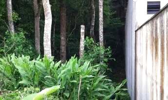 Imagem 3: Terreno com Belas Árvores e Riacho Prox R Theodor Makiolka