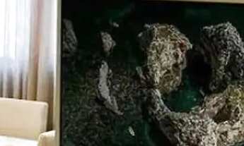 Imagem: Alugo Apartamento Mobiliado e Decorado 2