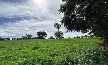 Imagem 5: Fazenda a venda em Trindade / Goiás!!!