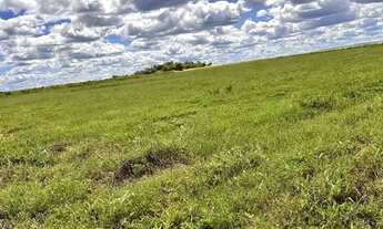 Imagem 2: Fazenda em Novo Acordo/Rio Sono
