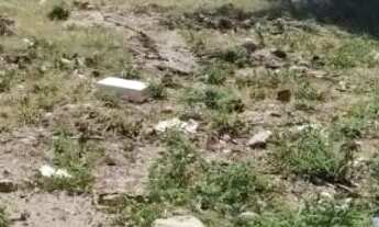 Imagem 2: VENDE-SE UM TERRENO NA ILHA DA CROA, HA 25 METROS DA PRAIA