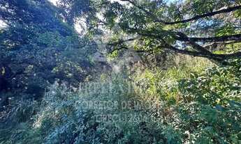 Imagem 3: Excelente lote de terreno com 1.762,50 m² para venda no bairro Park Swan em Bacaxá - Saqua