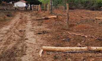 Imagem: Fazendinha 25 Alqueires 25 Minutos de Montes
