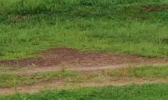 Imagem 2: Sítio com 50 mil M2 em Quissamã próximo ao bloco forte