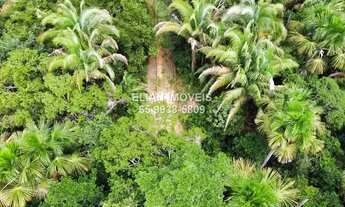 Imagem 2: Chácara Paradisíaca: 7 Hectares, Rio Canjira, Pomar Irrigado e Energia