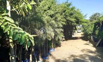 Imagem 6: Excelente terreno de 260 m² no bairro Fátima - Canoas