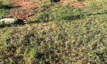 Imagem 5: Terreno a venda (aceita carro no negócio