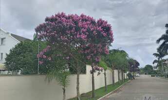 Imagem 5: Mansão em condomínio fechado em Jurerê internacional