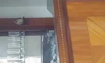 Imagem: 0 - Apartamento 2 quartos