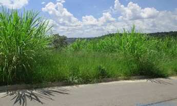 Imagem 4: TERRENO - JARDIM PAULISTA - SP
