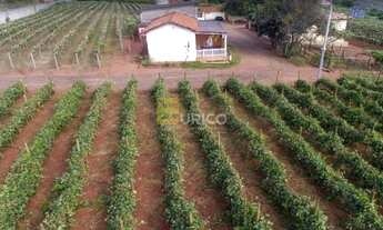 Imagem 6: Chácara à venda no Reforma Agrária em Campinas/SP